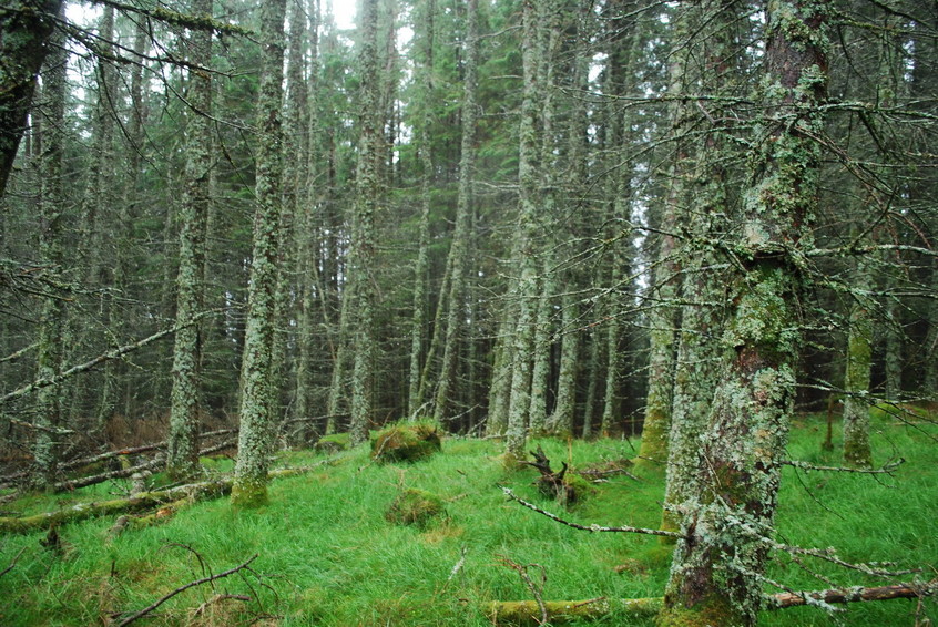 View to west