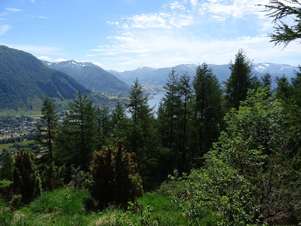 South view