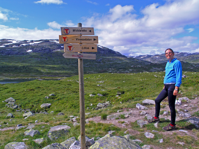 DNT marks the hiking trails on Hardangervidda