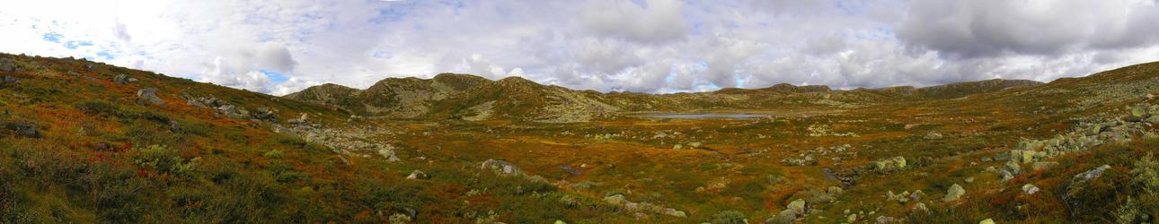 Panorama from the confluence