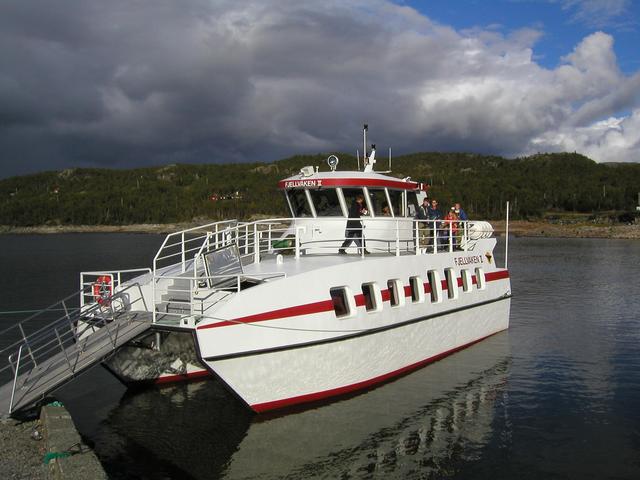 Fjellvåken II