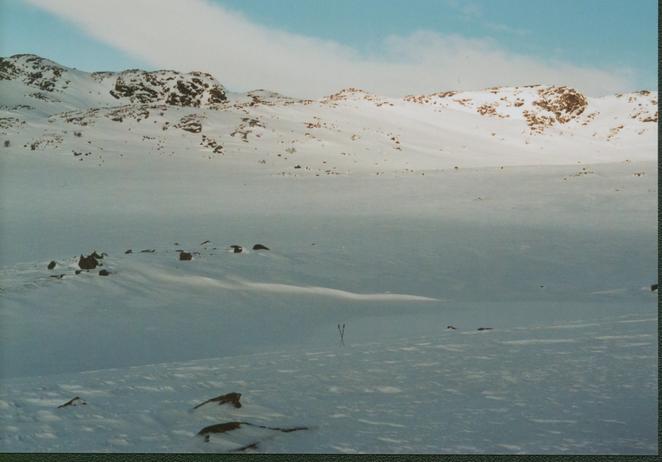 Vie NE to the Breidalsnuten (sticks crossed at the CP)