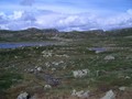 #2: View North