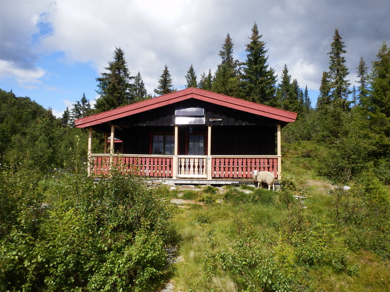 The Cosy Cabin