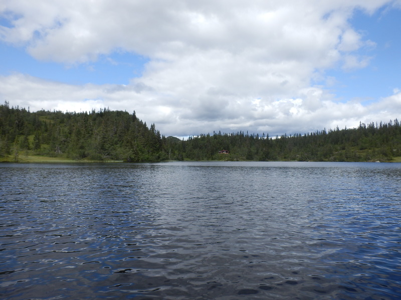 The Confluence from 20 m Distance