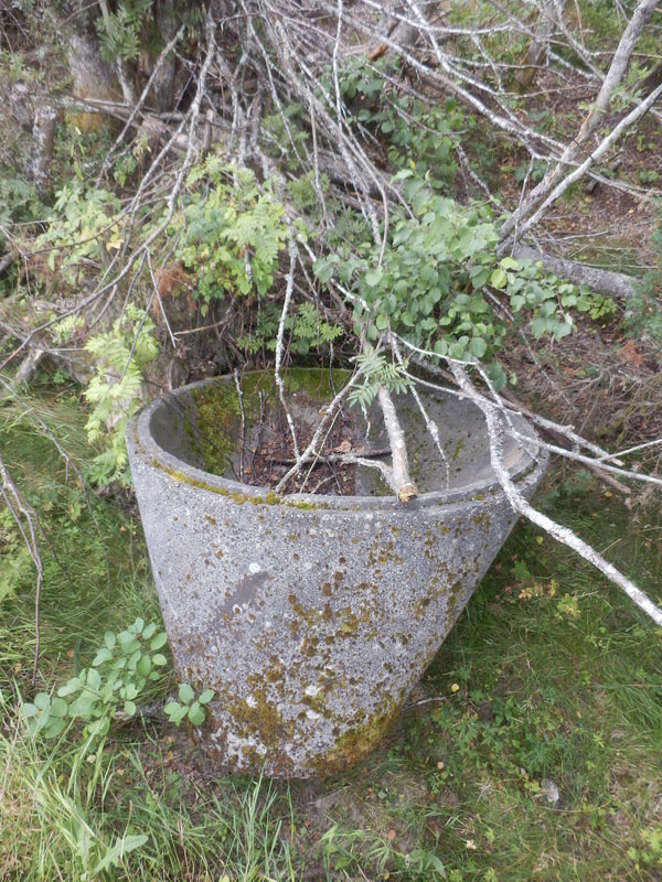 Sewage Pipe or Big Flower Pot?