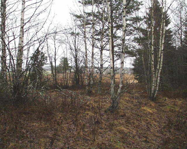 View to the north from the confluence point