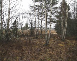 #1: View to the north from the confluence point