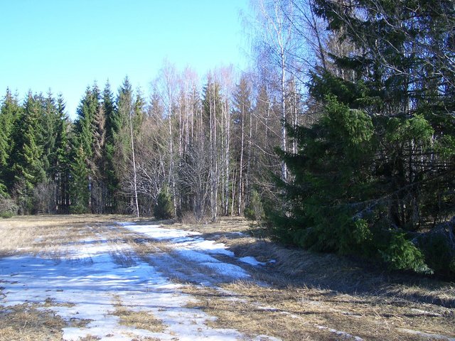 View East