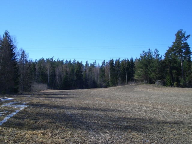 View West
