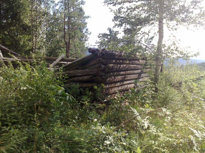 Old barn by the tractor path