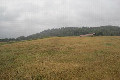 Visit #10: [09-Sep-24]