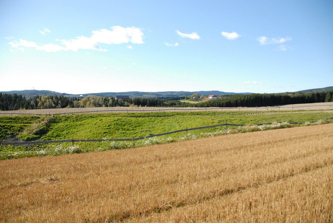 View east / Blick nach Osten