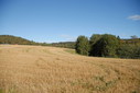 #2: View north / Blick nach Norden