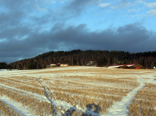 #1: View back towards Wærhaug farm