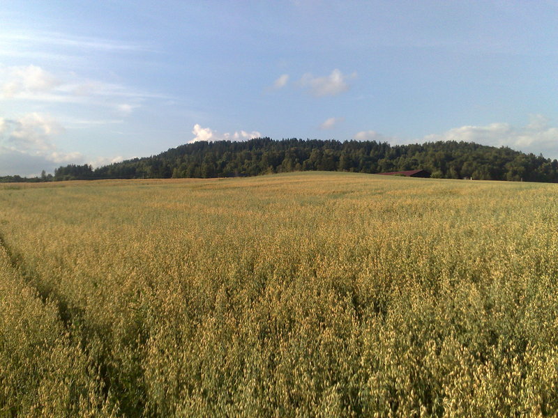 North