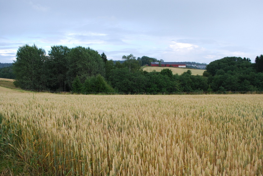 View to east