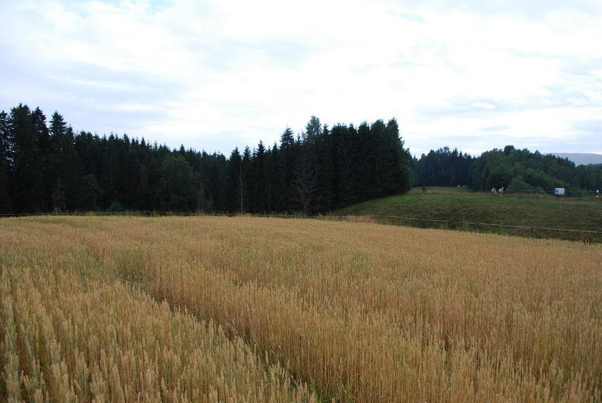 View to south