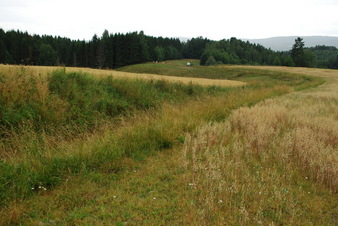 #1: Area of CP 60N 11E from a distance of 93 m
