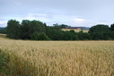 #3: View to east