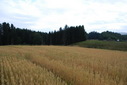 #4: View to south
