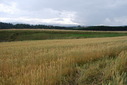 #5: View to west