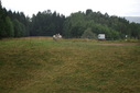 #9: Two horses watching to the CP