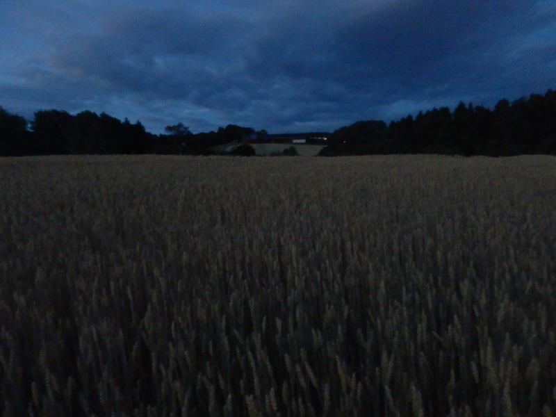 Nightly Visit of the Confluence