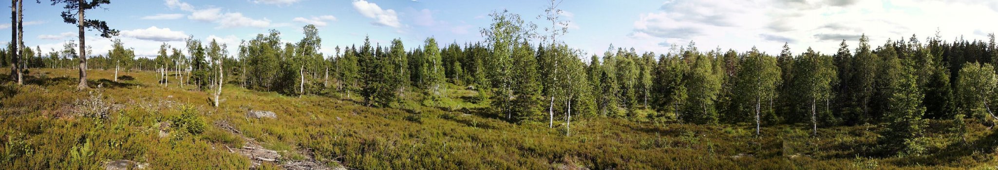 Panoramic view of the confluence