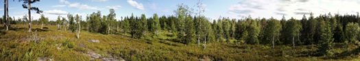 #1: Panoramic view of the confluence