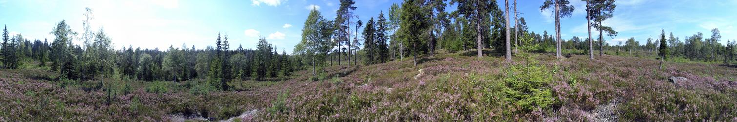 360-degree panorama from the confluence