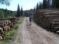 #4: Fredrik between a pair of lumber stacks