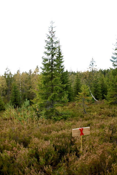 View to the point / Blick zum Confluence Punkt