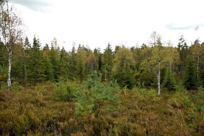 View west / Blick nach Westen