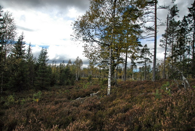 View south / Blick nach Süden