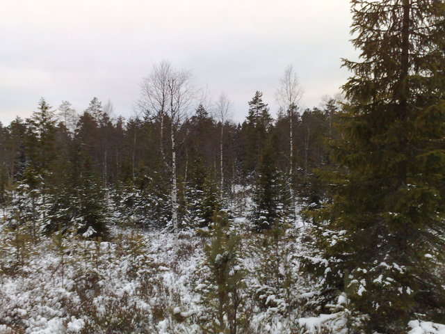 The confluence in winter