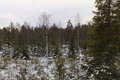 Visit #4: [04-Jan-08]