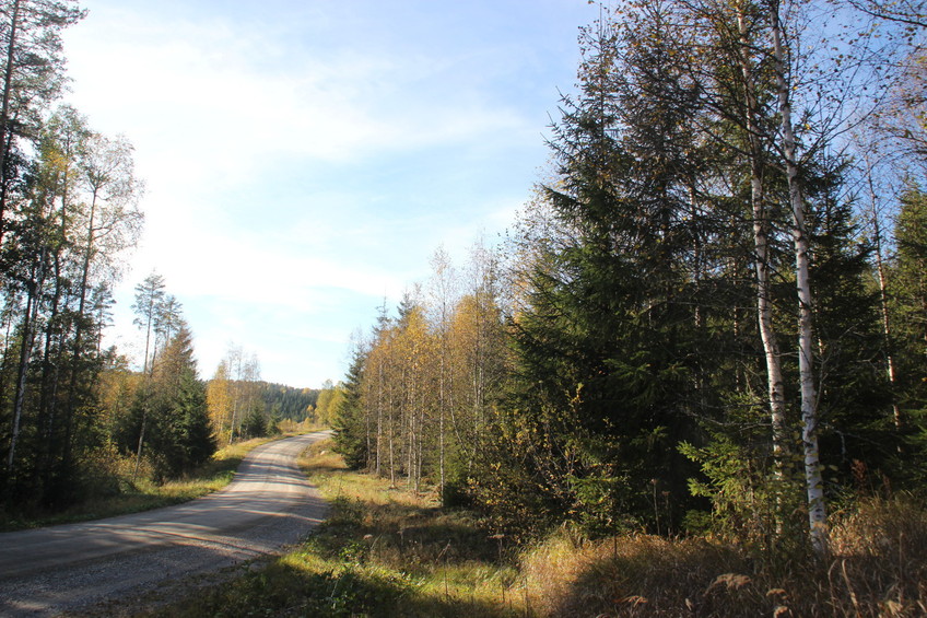 Looking west from starting place