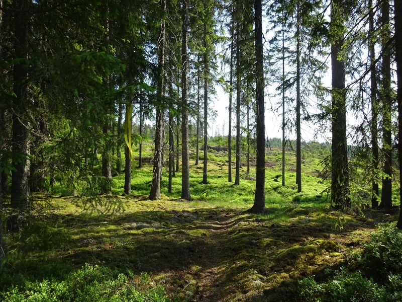 View during the hike