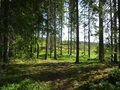 #9: View during the hike