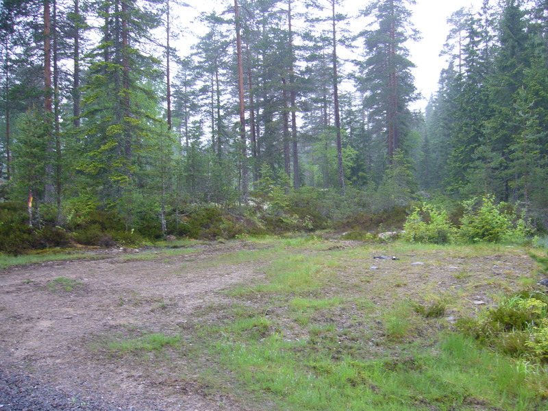 Place where you should left the forest road and follow the trail a bit right of the centre