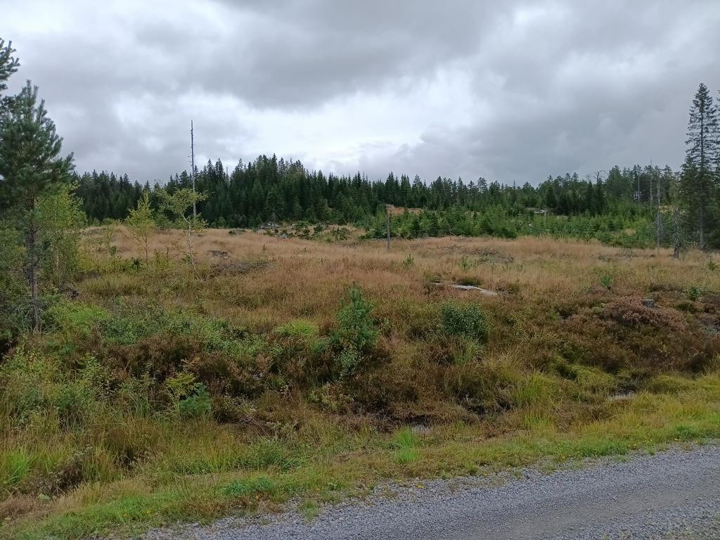 CP area from parking