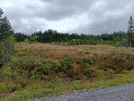 #10: CP area from parking