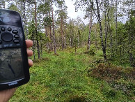 #11: CP area from approx 100 meters