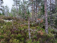 #2: Osten; view east