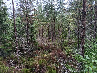 #3: Süden; view south