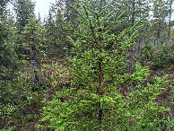 #4: Westen; view west