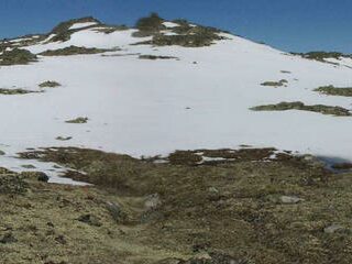 #1: Panorama image, showing the confluence, marked with flag.