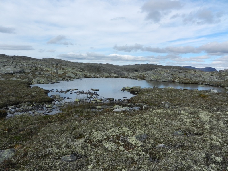 This little pond is just 10 m north of the point