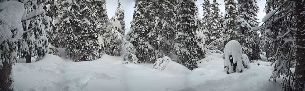 Panorama view from the confluence (about 140 degrees)